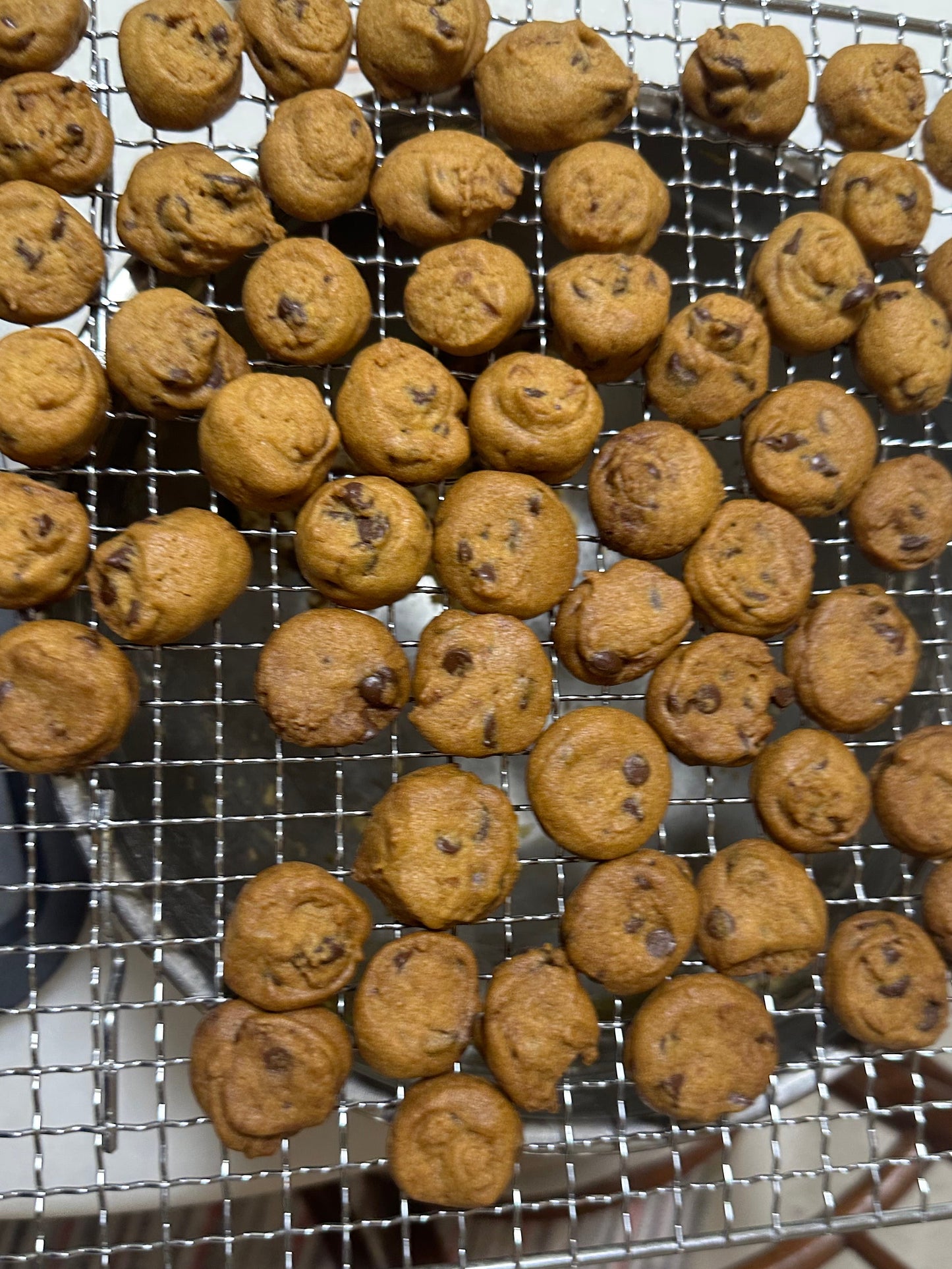 Chocolate Chip Cookies (Biskut Chip Coklat)